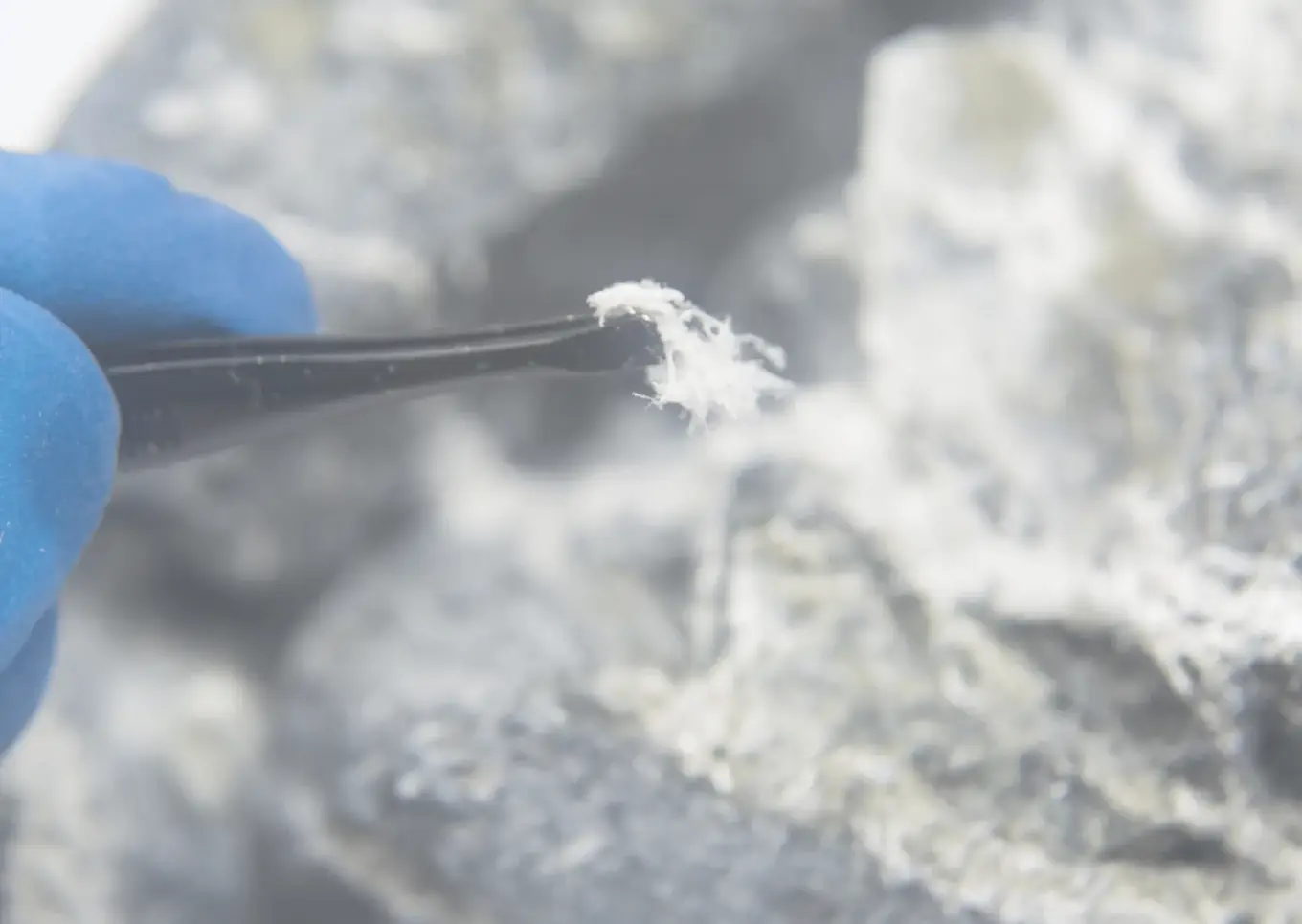 Close-up van een gehandschoende hand die met een pincet witte asbestvezels uit een grijs brokstuk isolatiemateriaal neemt